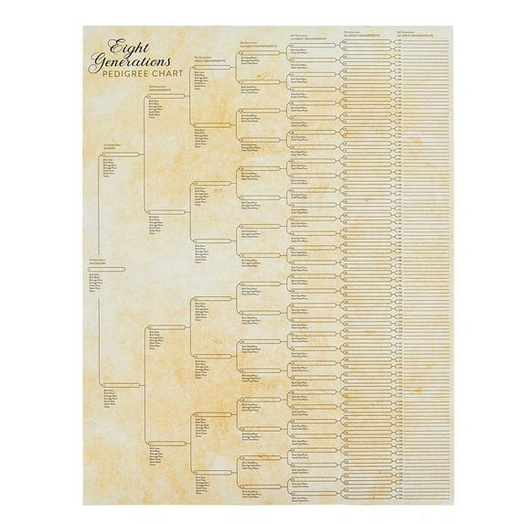 Family Relationship Chart Poster Customizable 55.9x43.2cm Paper