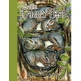 thumbnail image 1 of The Family Tree, (Paperback), 1 of 1