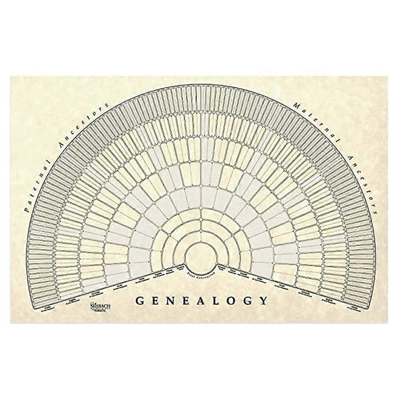 Family Tree Chart Genealogy Tree Painting Mural Family Tree DIY Generations