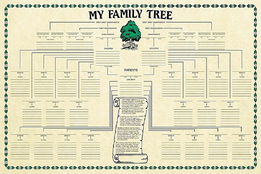 Stream (DOWNLOAD PDF)$$ ❤ The Family Tree: A Genealogy Organizer