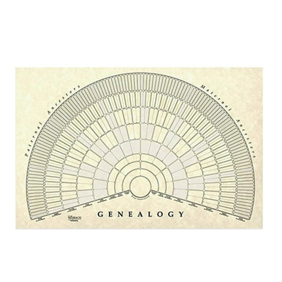 Family Tree Diagram Empty Poster Unique Gift for All Occasions Canvas Genealogy Poster Family Tree Chart