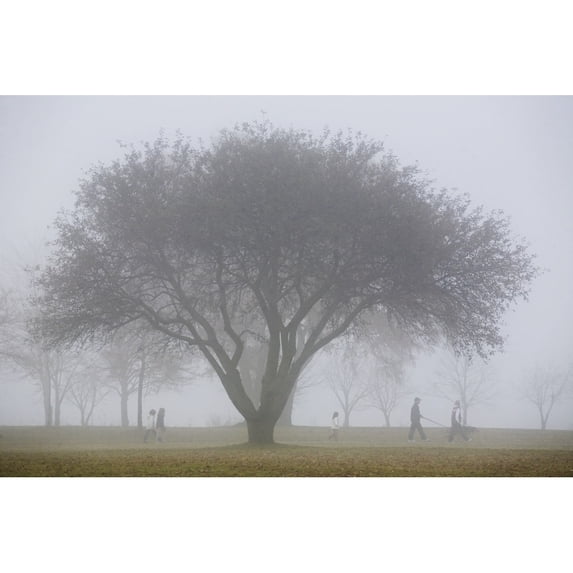 Family Walking Through Park In The Autumn Mist; Ontario Canada Poster Print (19 x 12)