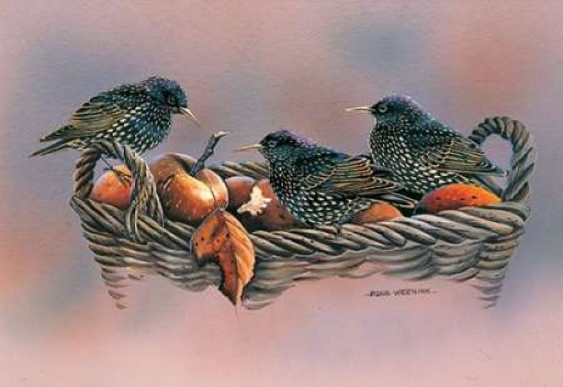 Family birds Canvas Art - Ruud Weenink (20 x 28)