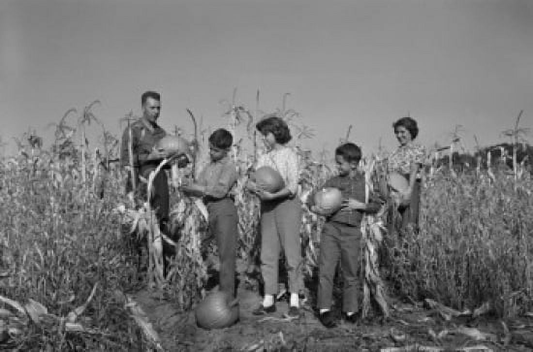 Family with two boys and girl harvesting pumpkins Canvas Art - (24 x 36)