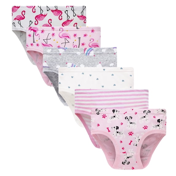FamilyBlisst Little Girl 100% Cotton Panties Printed Underwear 6-Pack Size 3T