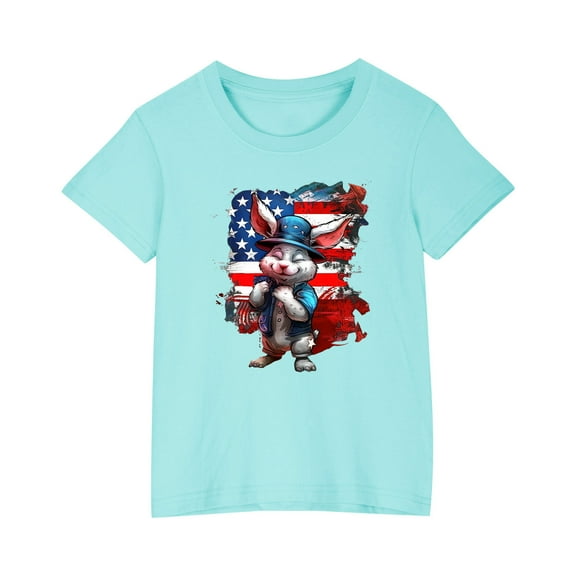FamilyThread Kids America Flag 4th of July Shirt Toddler Kids Boys Girls Patriotic USA Shirt, Red White and Blue Tee Top