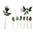 thumbnail image 1 of Familymaid 27708 76 cm 8 Layer & 3 Leaves Rose Flower, Assorted Color, 1 of 1