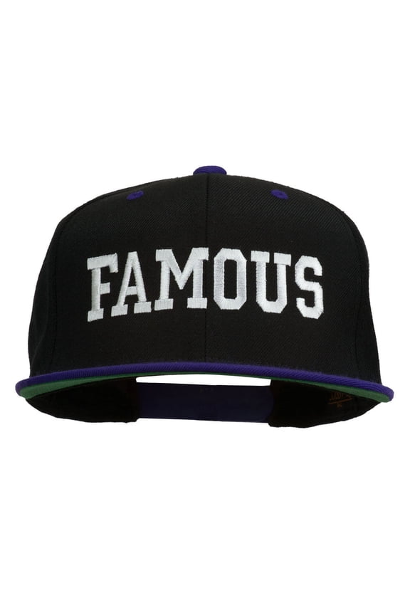 Famous Embroidered Two Tone Snapback Cap - Black Purple OSFM