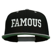 Famous Embroidered Two Tone Snapback Cap - Black Silver OSFM