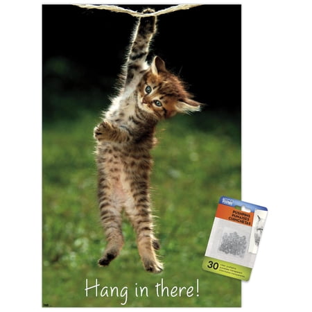 Famous Kitten Hang In There 14.72" x 22.37" Poster, by Trends International