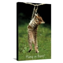 Famous Kitten Hang In There Poster Canvas Wall Poster, 14.725" x 22.375"