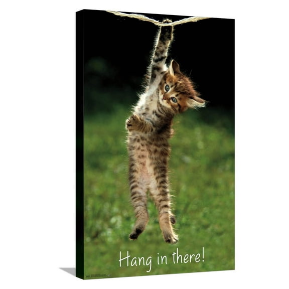 Famous Kitten Hang In There Poster Canvas Wall Poster, 14.725" x 22.375"