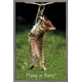thumbnail image 1 of Famous Kitten Hang In There Poster Wall Poster, 14.725" x 22.375", Framed, 1 of 5