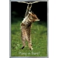 thumbnail image 1 of Famous Kitten Hang In There Poster Wall Poster, 22.375" x 34", Framed, 1 of 2