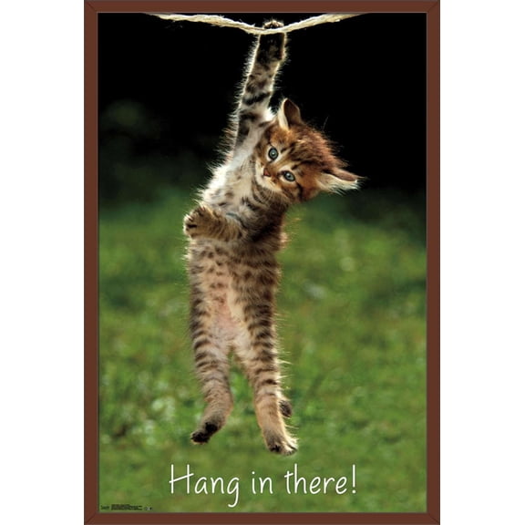Famous Kitten Hang In There Poster Wall Poster, 22.375" x 34", Framed