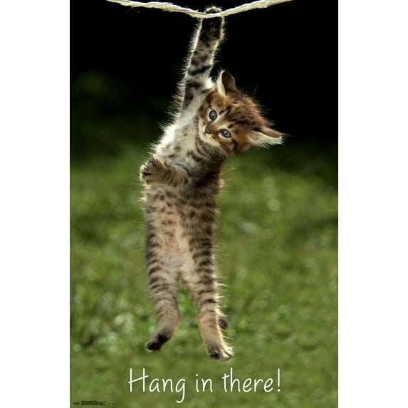 Famous Kitten Hang In There Poster Wall Poster, 22.375" x 34"