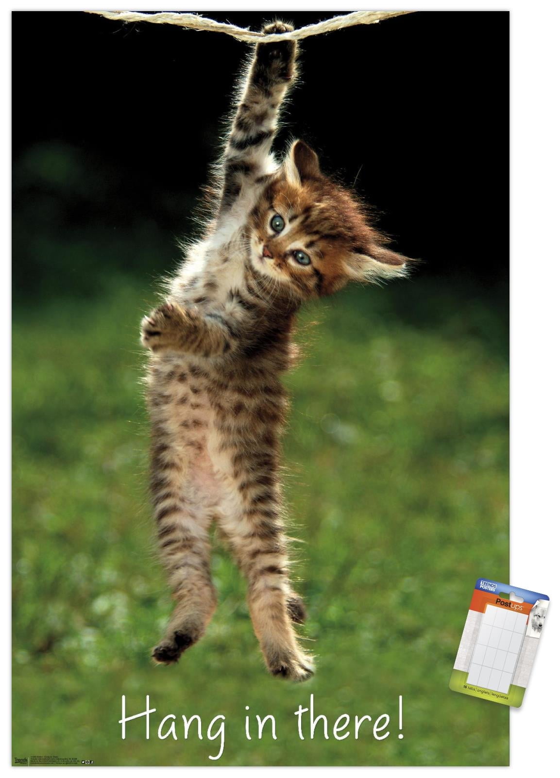 Famous Kitten Hang In There Poster Wall Poster, 22.375" x 34" - Walmart.com