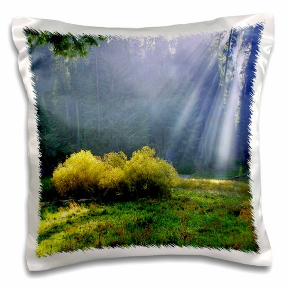 3dRose, Famous Sequoia Park California, 16x16 inch Pillow Case