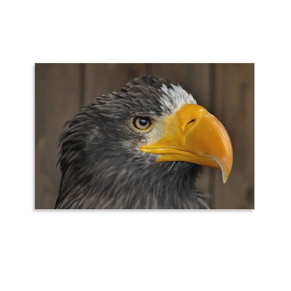 Famous Vagrant Steller’s Sea Eagle Canvas Art Poster And Wall Art Picture Print Modern Family Bedroom Decor Posters,Unframe-style,12x18inch(30x45cm)