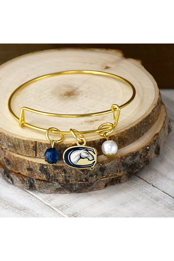 Fan Frenzy Gifts UC Davis Aggies Officially Licensed Bangle Bracelet