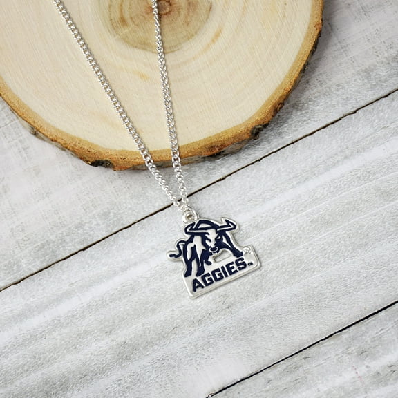 Fan Frenzy Gifts Utah State Aggies Officially Licensed Fan Necklace