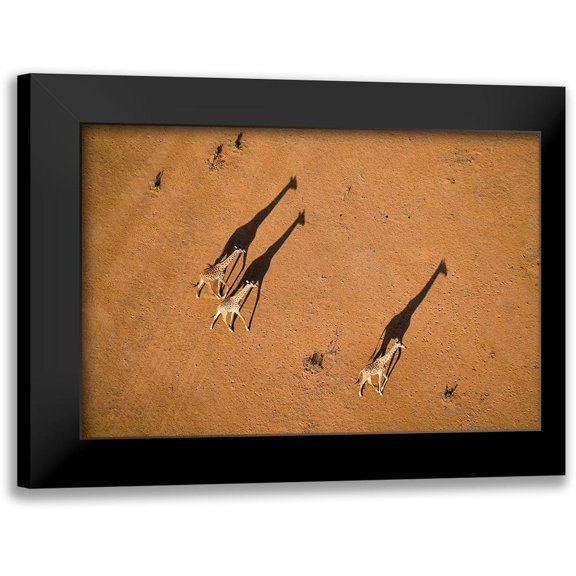 Fan, John 14x11 Black Modern Framed Museum Art Print Titled - Walking Under Sunset