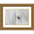 thumbnail image 1 of Fan, John 18x13 Gold Ornate Wood Framed with Double Matting Museum Art Print Titled - Whisper Of Iceland, 1 of 4