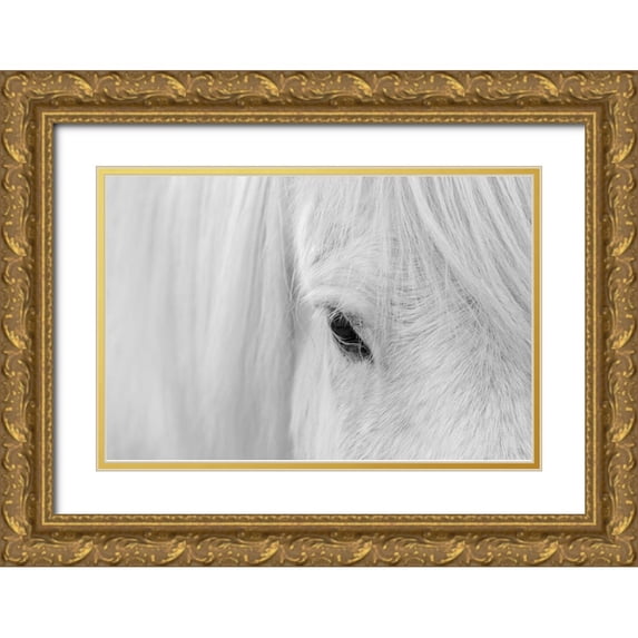 Fan, John 18x13 Gold Ornate Wood Framed with Double Matting Museum Art Print Titled - Whisper Of Iceland