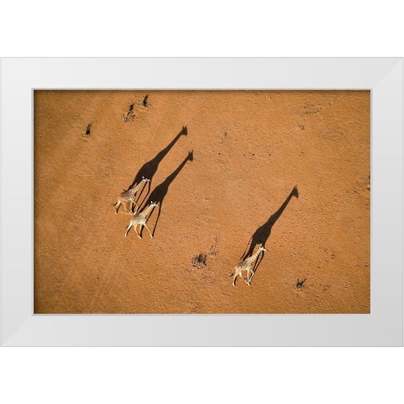Fan, John 18x13 White Modern Wood Framed Museum Art Print Titled - Walking Under Sunset