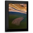 thumbnail image 1 of Fan, John 18x24 Black Modern Framed Museum Art Print Titled - Flamingos On The Lake, 1 of 5