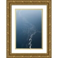 thumbnail image 1 of Fan, John 23x32 Gold Ornate Wood Framed with Double Matting Museum Art Print Titled - Tree Of Flamoingos, 1 of 4
