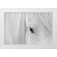 thumbnail image 1 of Fan, John 24x17 White Modern Wood Framed Museum Art Print Titled - Whisper Of Iceland, 1 of 4