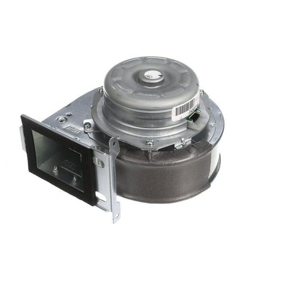 Rinnai Fan Motor 104000061-K - Genuine OEM Replacement Part