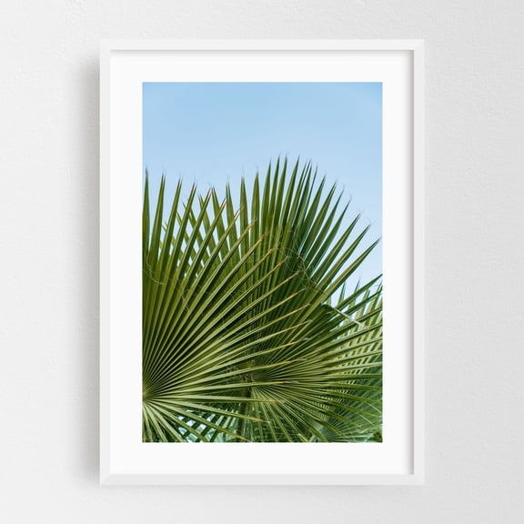 Fan Palm II - Photography Palm Tree Nature Tropical Botanical Summer Beach Scenic White Framed Wall Art Print 5 x 7 inches
