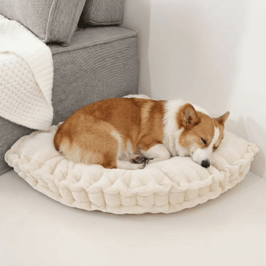CHARRYARN by TexStead Corner Floor Cushion For adults or pets, Floor Pillow, Gap Filler Between Bed and Wall for Sitting or Yoga, Pizza Cushions Thick, Living Room, Fireplace, 15"*15",Beige