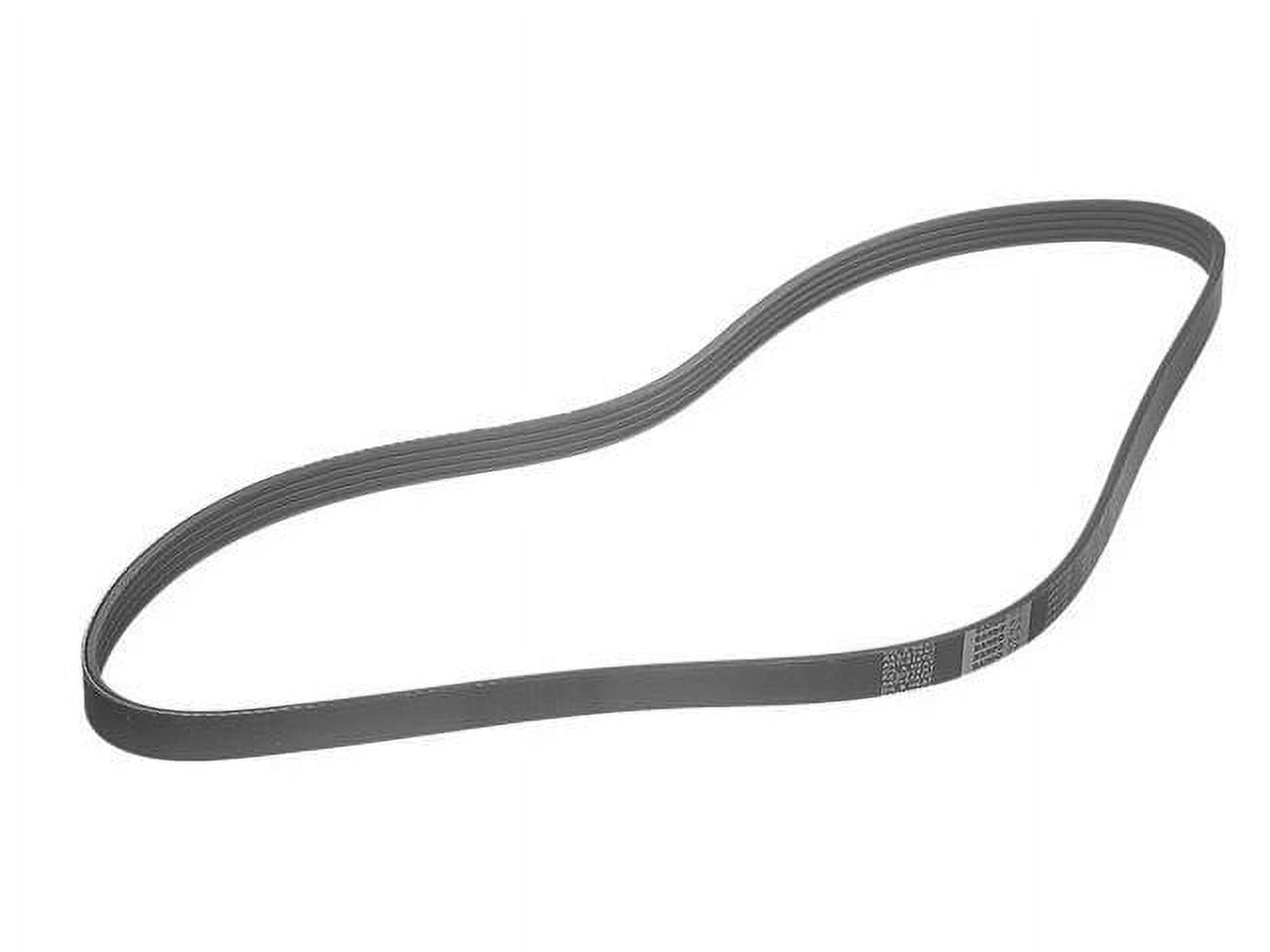 ContiTech Multi Rib V-Belt For Suzuki Samurai Alternator – 11941SV (Fits 1985–1995)