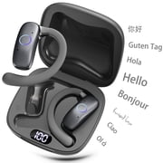FanFun Wireless Earbuds, Wireless Earphones with Noise Cancelling, 24 H Battery Life, Real-Time Translation with 115 Languages, Gray