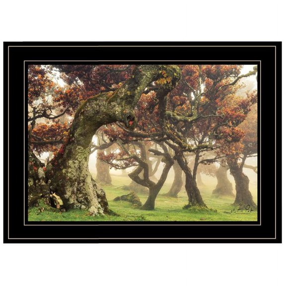 Fanal Martin Podt Printed Black Framed Wall Art Wood Multi-Color
