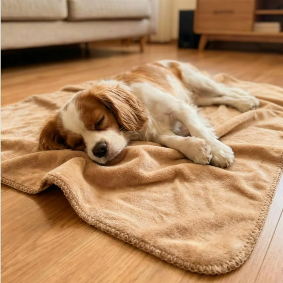 FanciHommie Waterproof Pet Blanket Reversible Double-Sided Fleece & Waterproof Fabric for Dogs and Cats Reusable Pet Pad, S Size (26"x35") Red