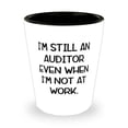 thumbnail image 1 of Fancy Auditor, I'm Still an Auditor Even When I'm Not at Work, Sarcasm Holiday Shot Glass For Colleagues, 1 of 1