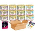 Fancy Feast Kitten Wet Food Variety Pack – 12 Pack Kitten Food Wet with