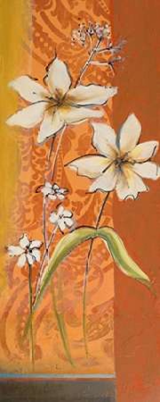 Fancy Floral I Canvas Art - Patricia Pinto (24 x 48)