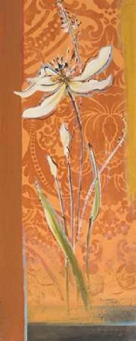 Fancy Floral II Canvas Art - Patricia Pinto (24 x 48)