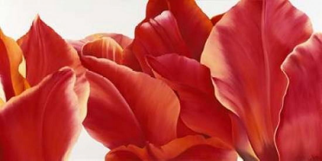 Fancy Flower I Canvas Art - Yvonne Poelstra-Holzhaus (24 x 48)