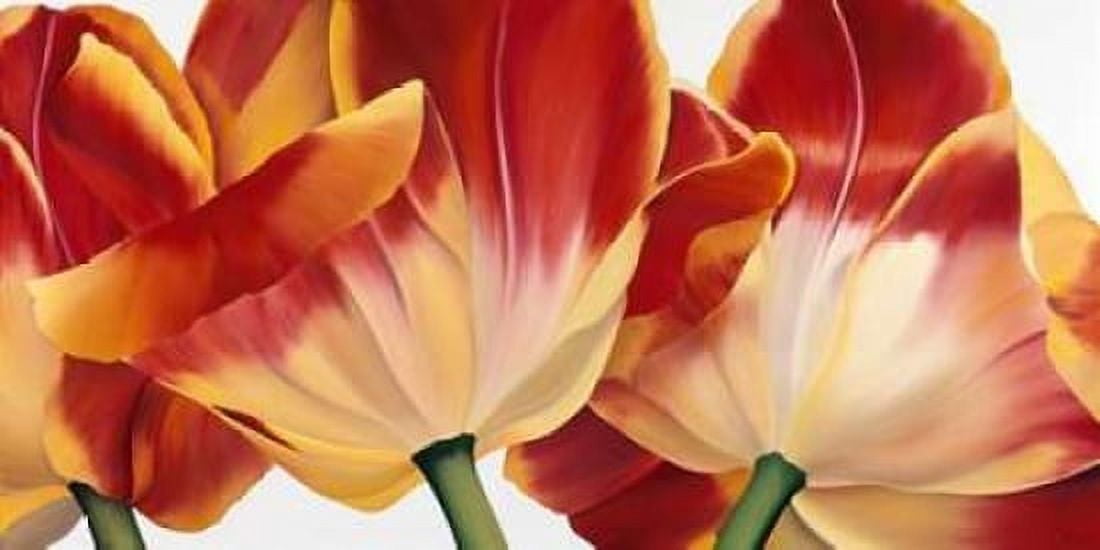 Fancy Flower III Canvas Art - Yvonne Poelstra-Holzhaus (24 x 36)