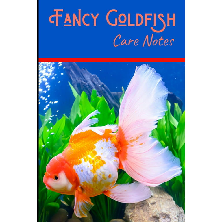 Fancy Goldfish Care Notes : Customized Goldfish Tank Maintenance