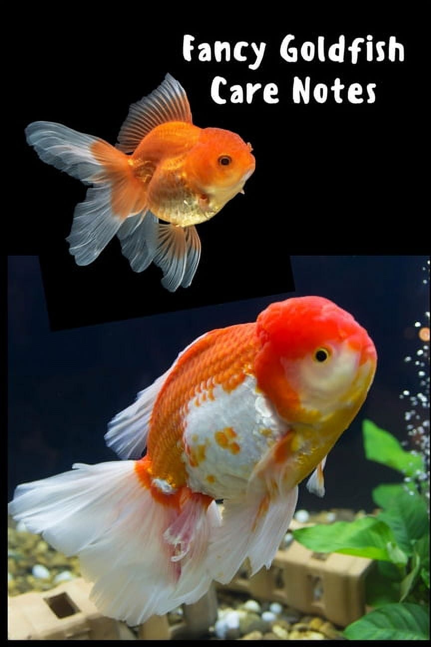 Fancy Goldfish Care Notes Customized Goldfish Tank Maintenance Record