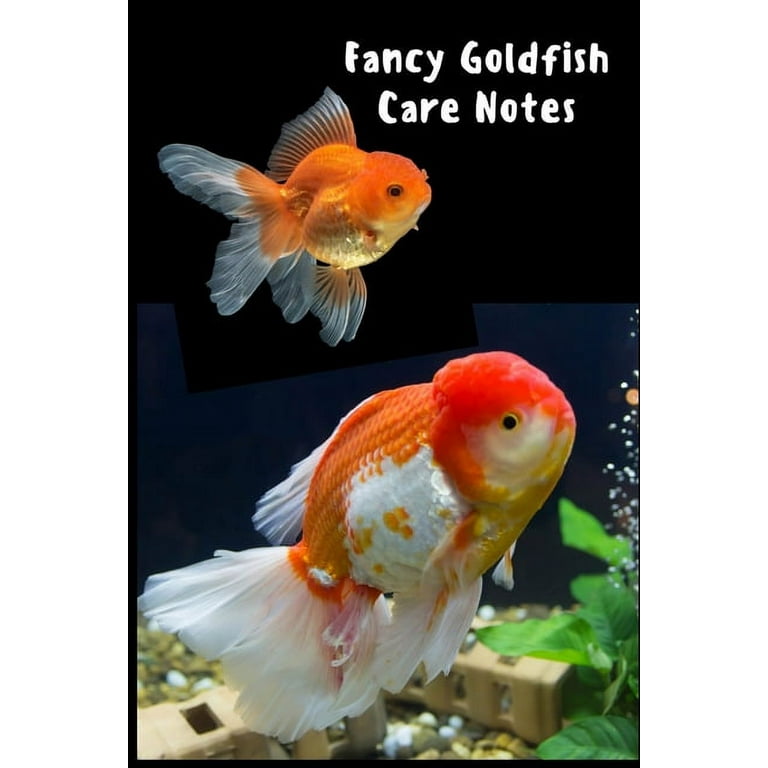 Fancy Goldfish Care Notes : Customized Goldfish Tank Maintenance Record  Book. Great For Monitoring Water Parameters, Water Change Schedule, And  Breeding Conditions (Paperback) 