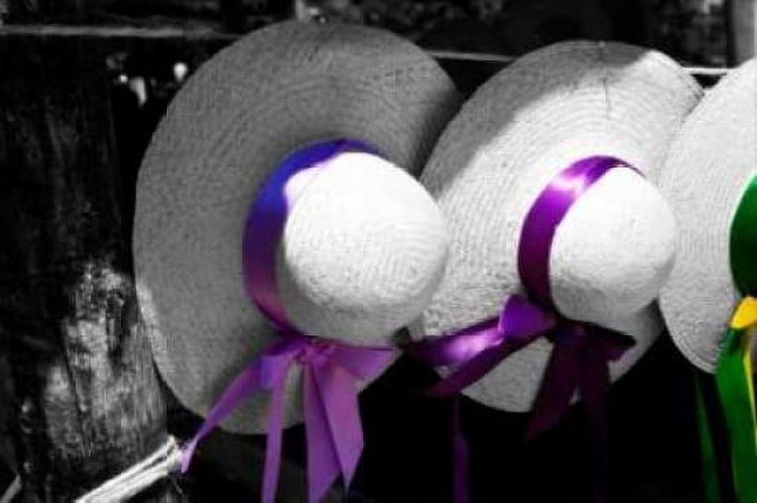 Fancy Hats II Canvas Art - Alan Hausenflock (24 x 36)