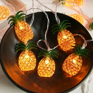 Hinkley sales pineapple lights